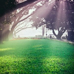 Meet your Posher, Shirley